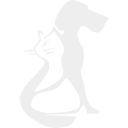 Miskey Array image62