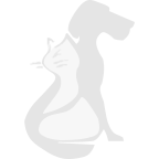 Miskey Array image70