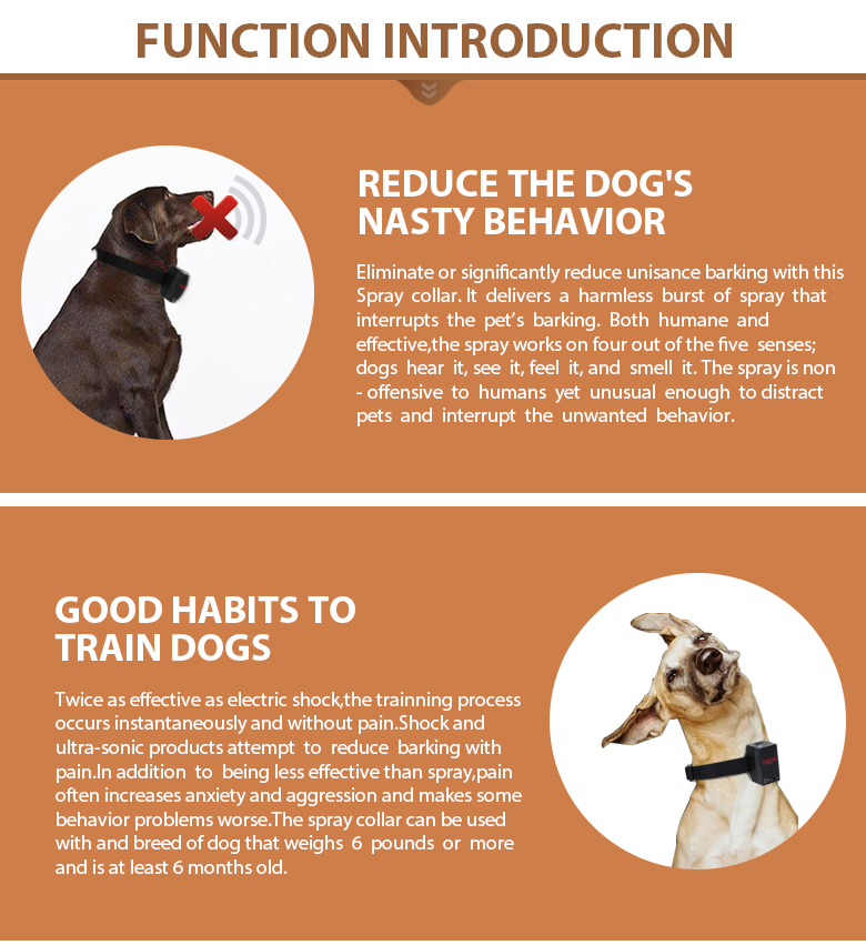 Miskey Array image79