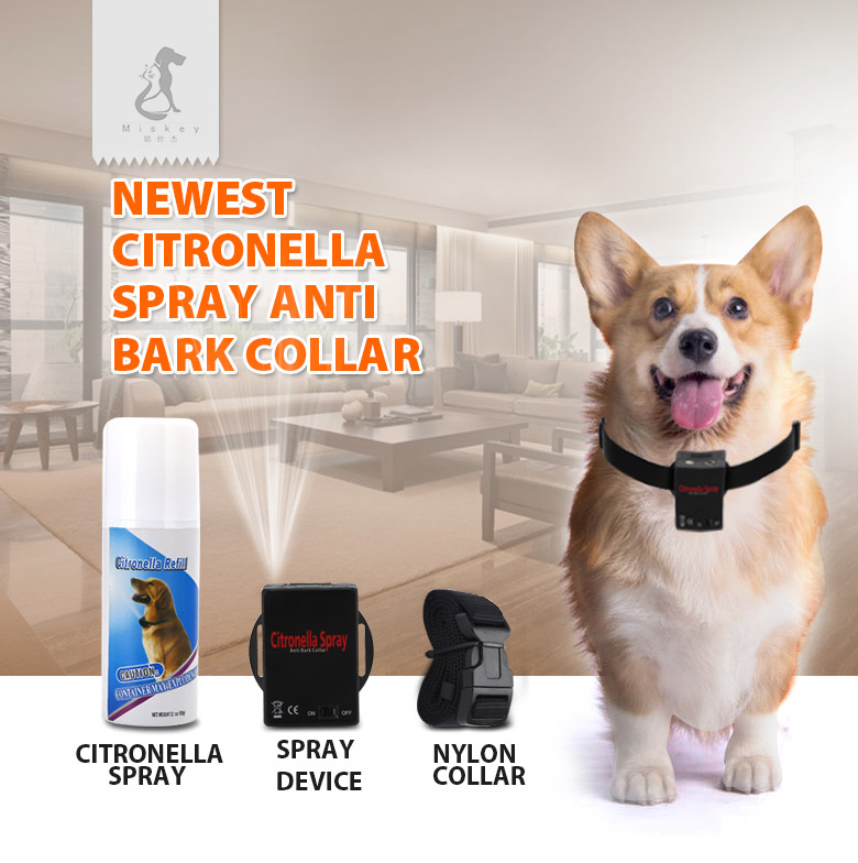 Miskey Array image72