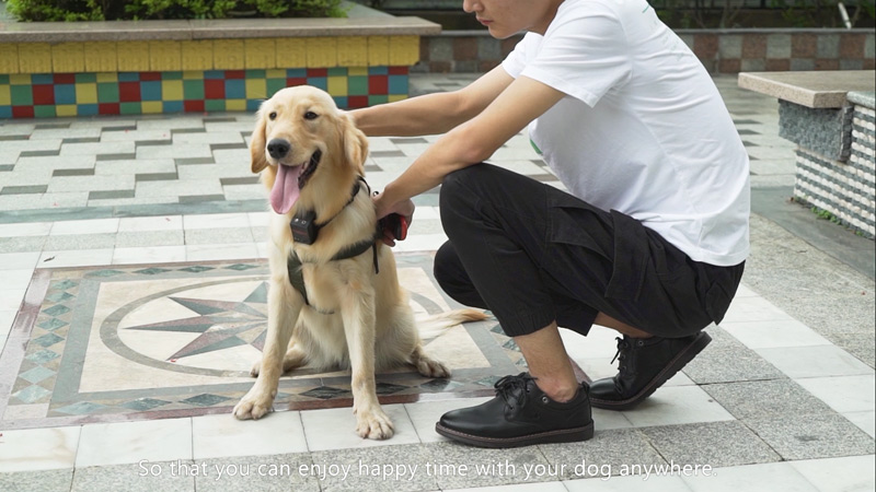 Miskey Array image60