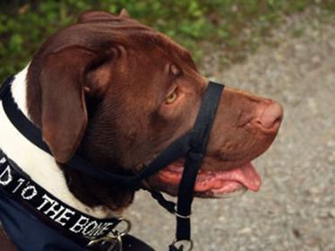 Miskey Array image62