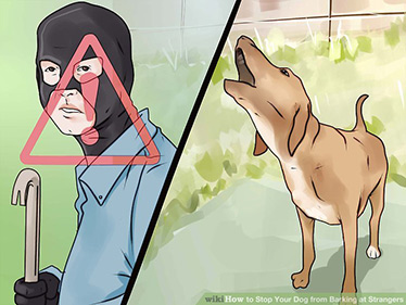 Miskey Array image61