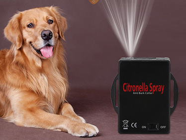 Miskey Array image30